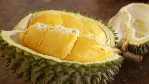 durian-sumatera-medan